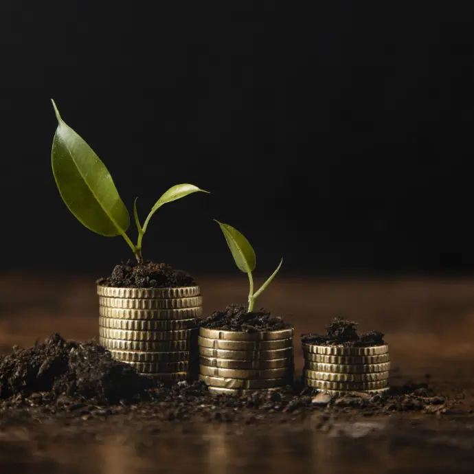 Invest in mutual funds and grow your wealth with Limitree